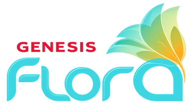 Genesis Infratech